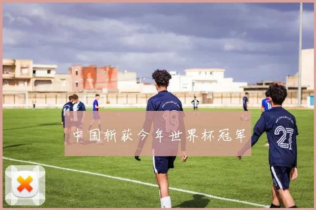 中国斩获今年世界杯冠军